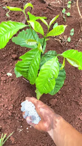 Làm vì đam mê thôi . Không bt j hết😂