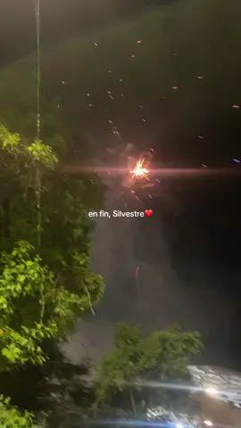 #silvestredangond ✨
