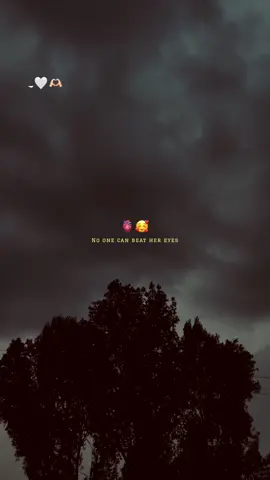 Must repost 🫣❤️‍🩹 #hamzi #poetry #viralvideo #pleaseunfrezzemyaccount #pleasesupport #pleasesupport #viraltiktok @TikTok 