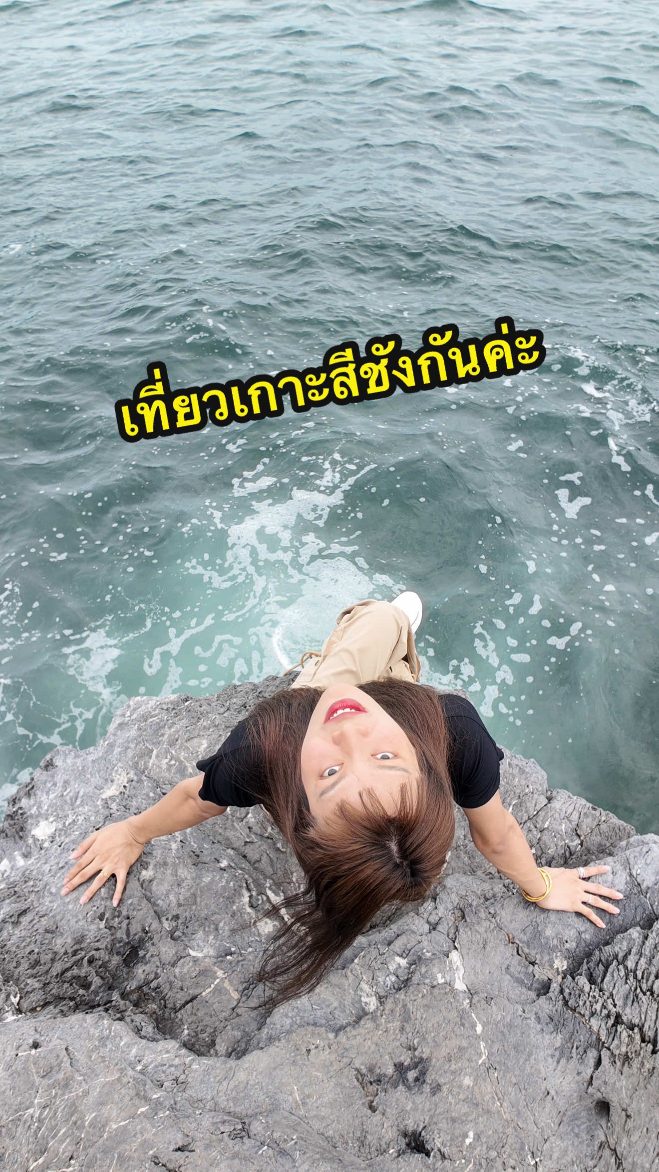 #ลูกหมีโลตัสบ้านสวน #ตัวแม่โลตัส #เกาะสีชัง #CapCut 