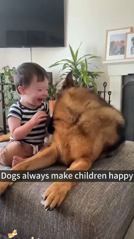 When your dog makes the baby laugh🥰 #dogsoftiktok#children#funnyvideos#doglife#dog 
