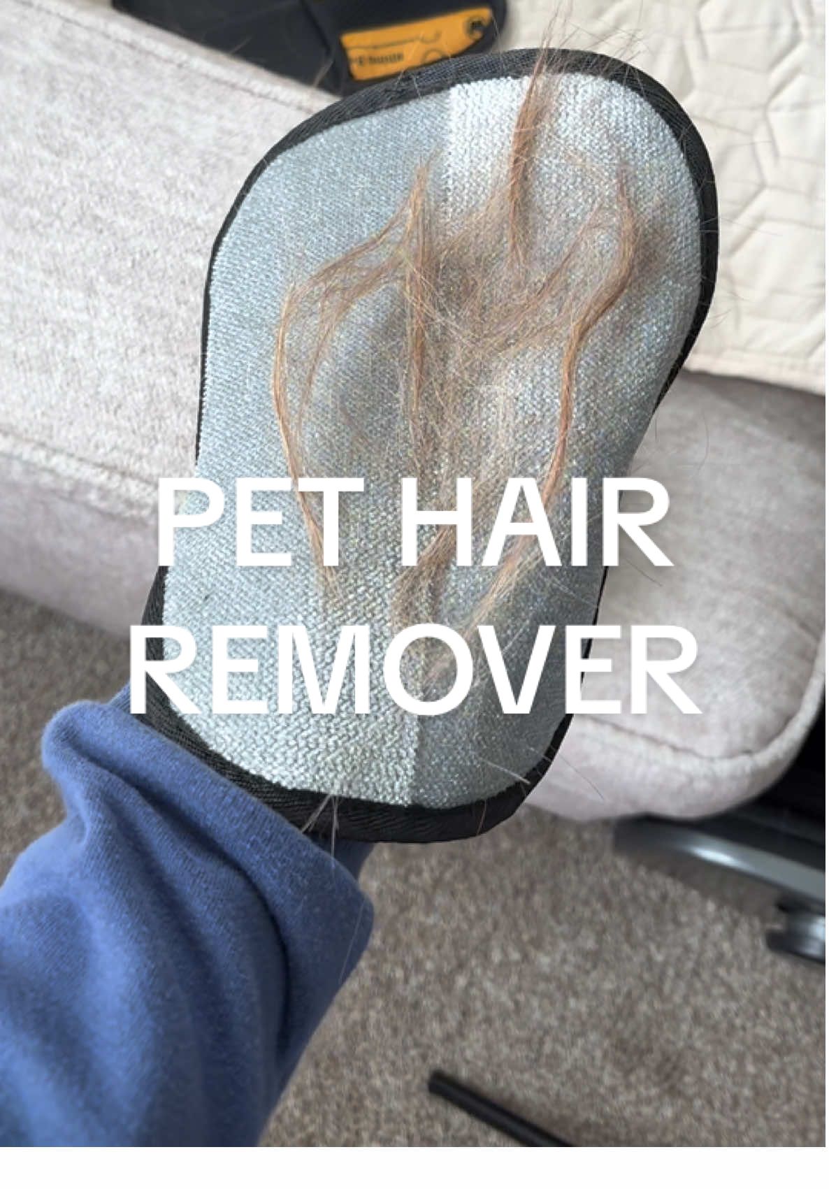 🐾✨ Say goodbye to stubborn pet hair! This static electricity glove makes cleanup quick, easy, and mess-free. Perfect for couches, clothes, and even the car 🚗🐶🐱 @Pawetry #pethairremoval #pethair #pethacks #pethairremover #pethairremover 