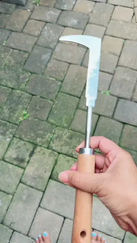 Part-921 Crack Weeder Crevice Weeding Tool Stainless Steel Manual Weeder Beech Handle Gardening Tool #fypシ #nepalitiktok #tiktokshopholidayhaul #TikTokShopMemorialDay #tiktokshop 