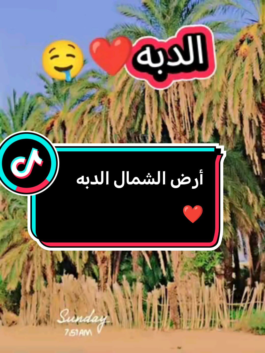 #creatorsearchinsights #الدبه #الشماليه 