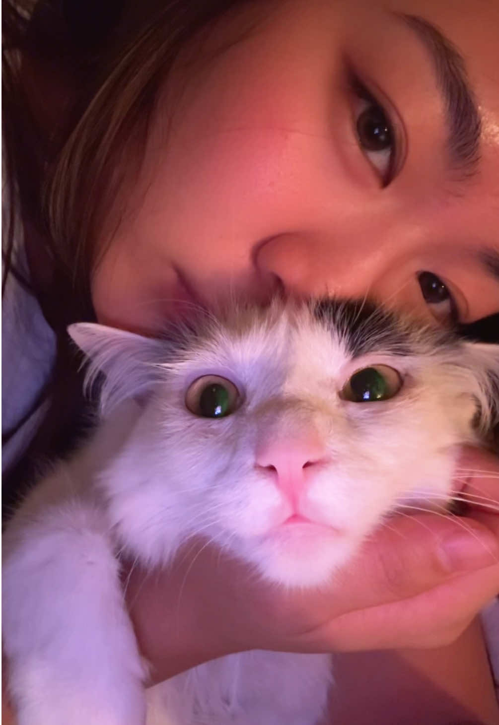 A night like this…💕 #cat #catmom #cowthecat 
