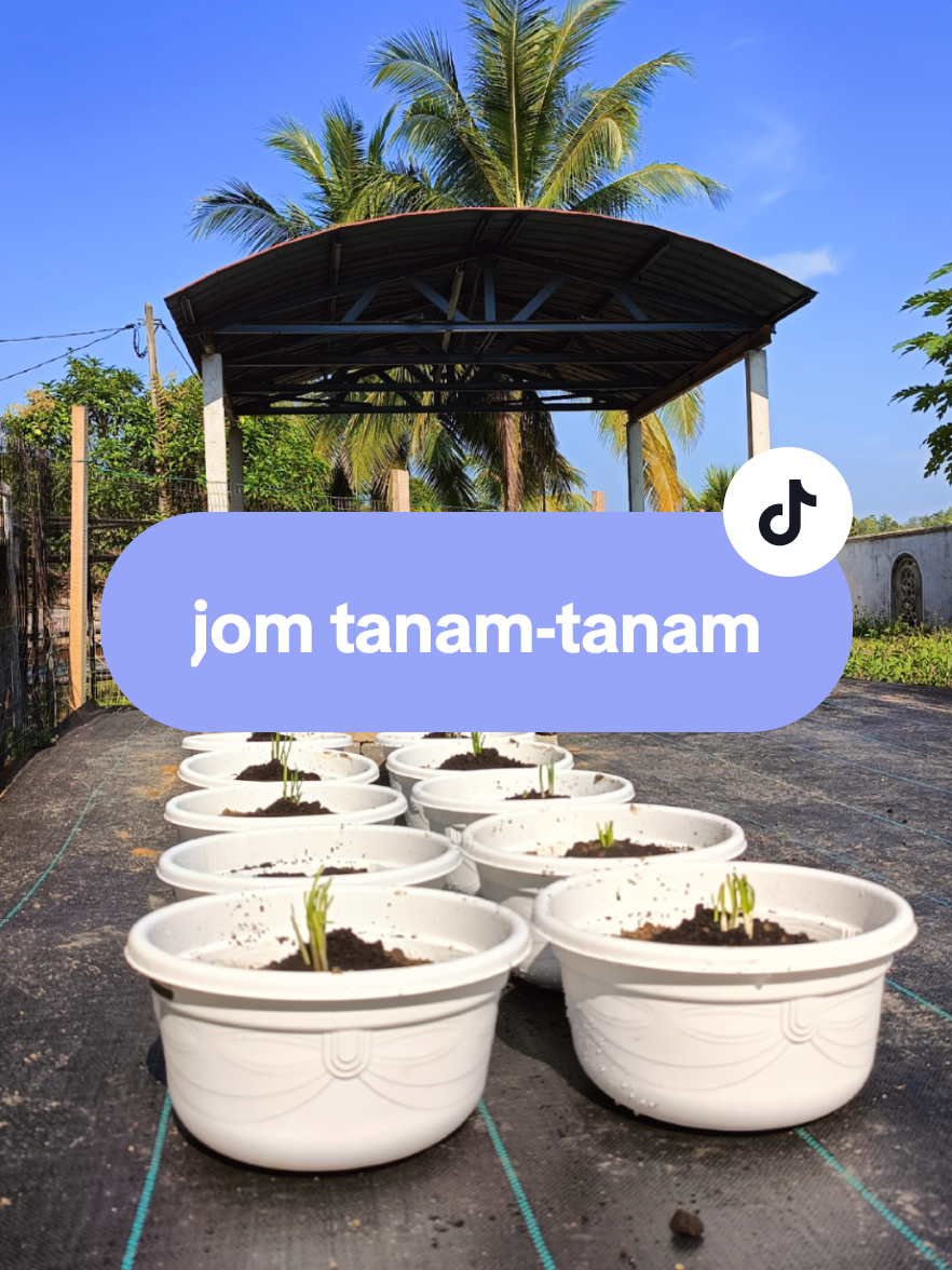 Nantikan projek baru sekolah kami... jangan lupa support ya teman2. #SRITIRaudhatulMusliminKualaKetilKedah #SRIRM #JomMasukSriti #SRITIKedah #fypシ゚viral 