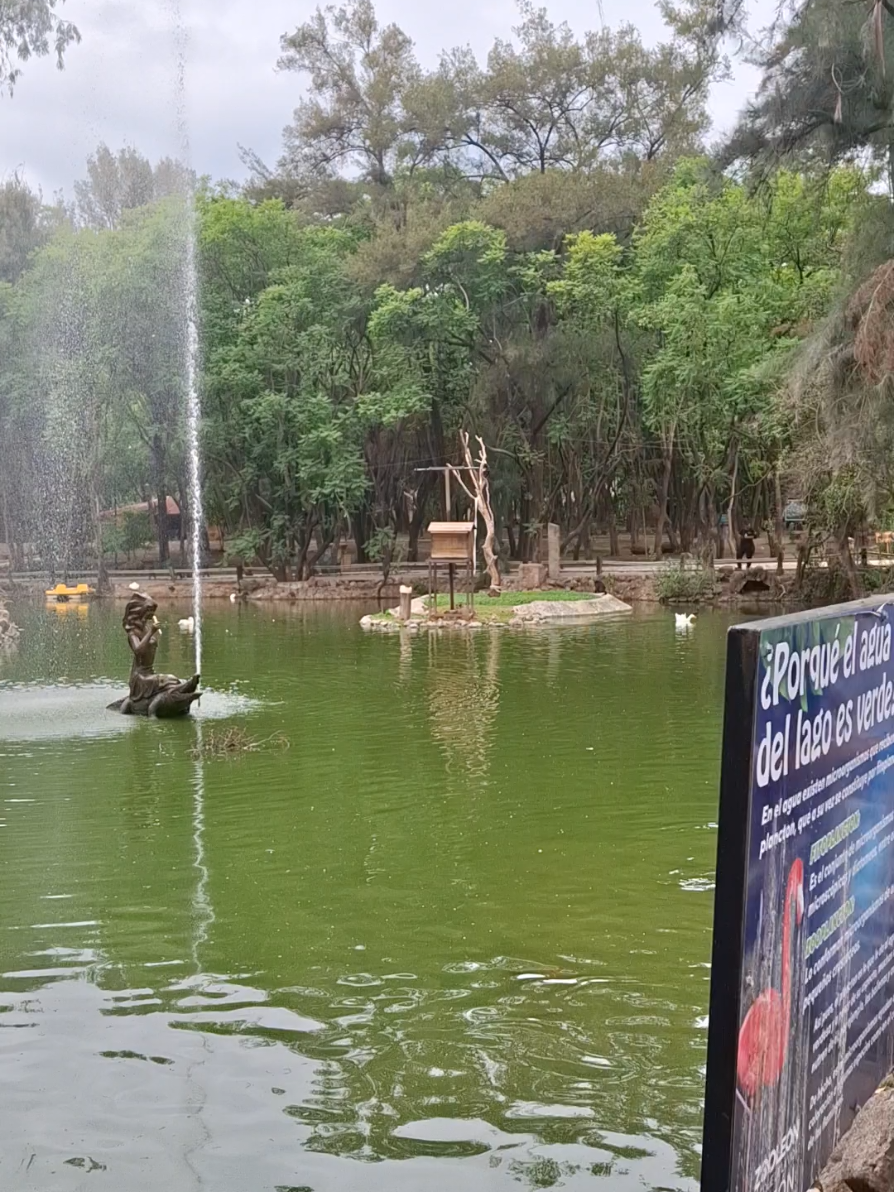 @Medellín luz #hermanas #zoologico #fyp 