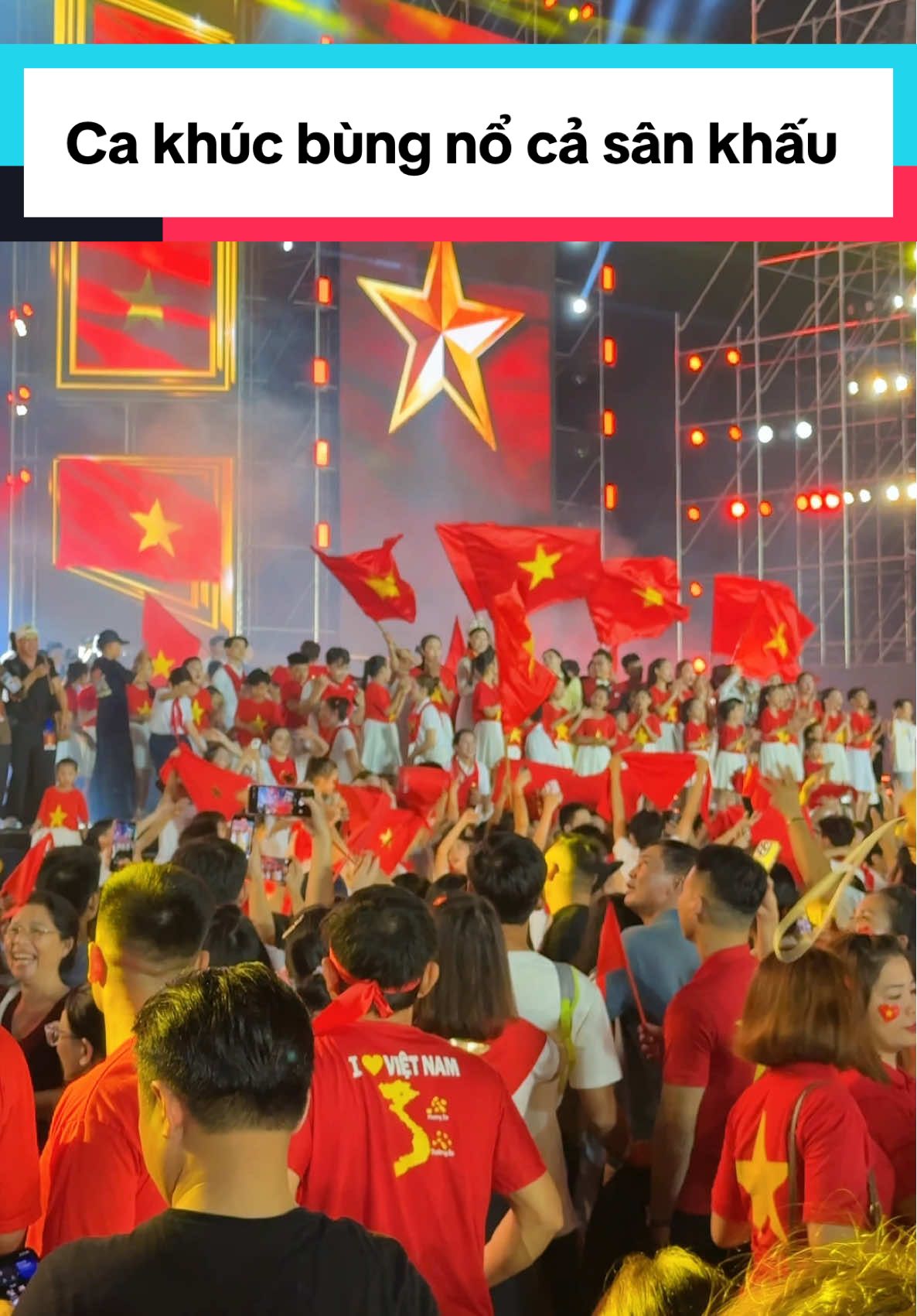 Hướng Nội đi đu concert 1 mình và gặp những bạn hướng ngoại yêu nước kiểu  #2thang9  #tuhaolanguoivietnam #quockhanh #viral #haidanghaydi 