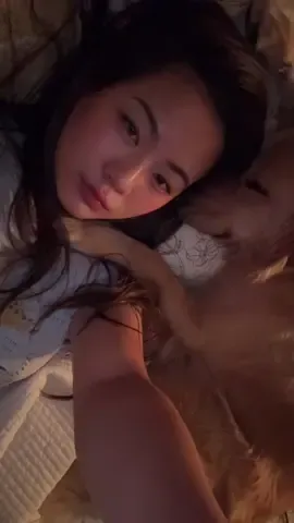 Good night 😘❤️ #dogmom #goldenretriever 