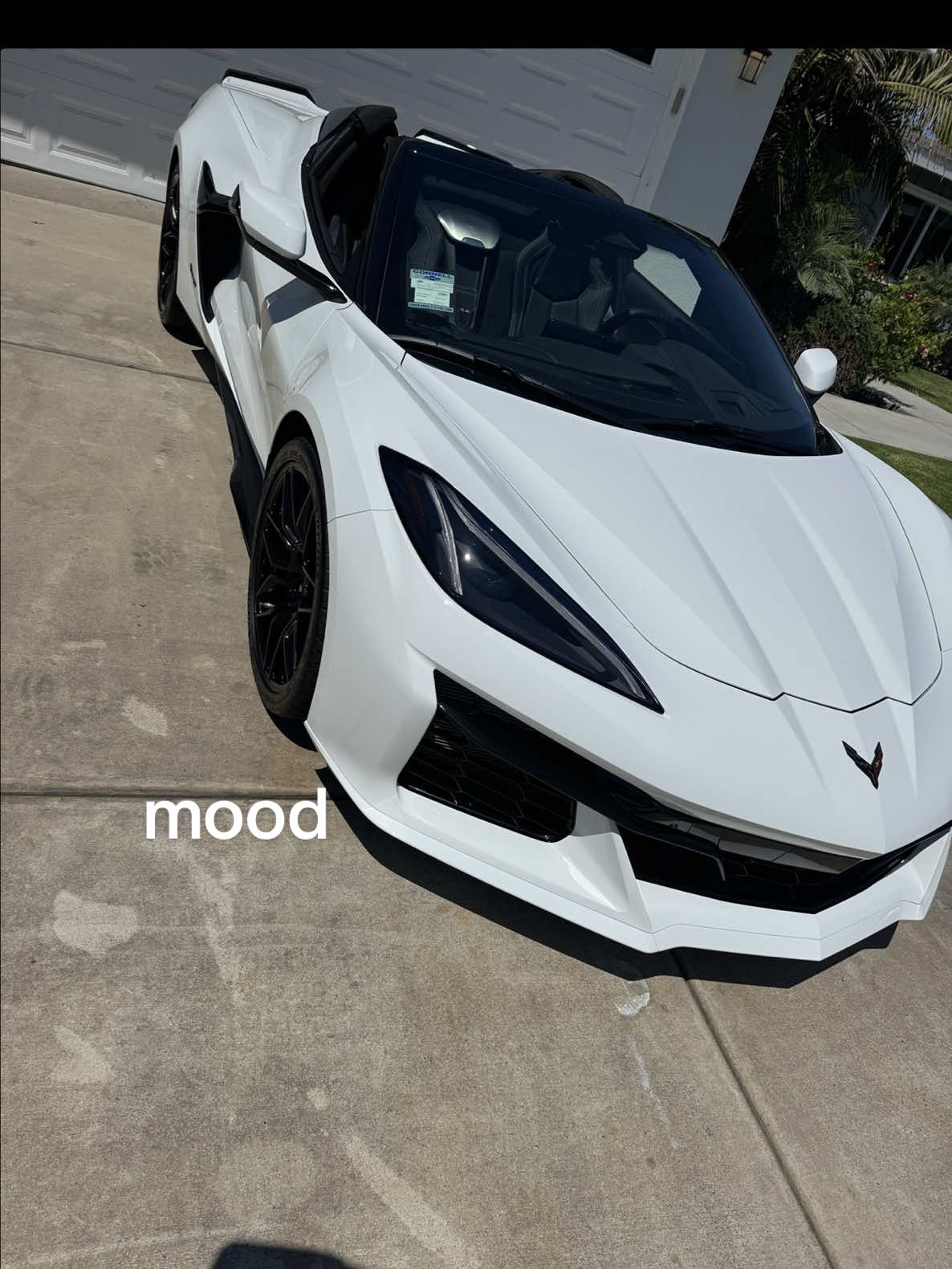 🤪🤪🤪