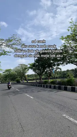 #lomboktiktok #lombokvirall🌴🌴 #lomboktiktok_fyp #fyppppppppppppppppppppppp #fypage #4u #masukberanda #masukberandafyp #lombokisland #lomboktengah 