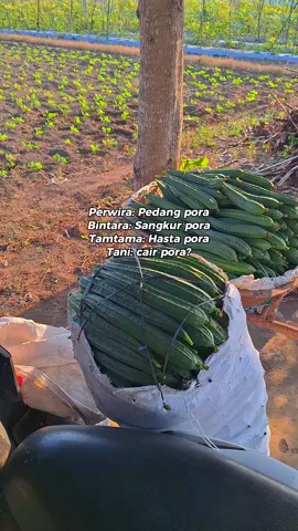 berdamai dengang kenyataan ini heha🤣 #BerkahTani #seputarpertanian #petaniindonesia🇮🇩🇮🇩🇮🇩🌿🌿 #masukberanda #fyp 