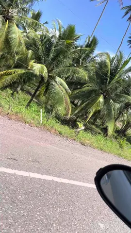 A small mini vlog hope yall enjoy post more soon#fyp #spanishbridge🇯🇲#Vlog 