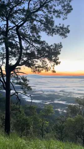 แสงยามเช้า⛰️ #ธรรมชาติ #หมอก #ฟ้า#ดอยจิกจ้องฆ้องคํา 