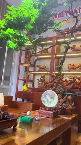 Chim chíp muốn tắm nó phải phê như vậy 