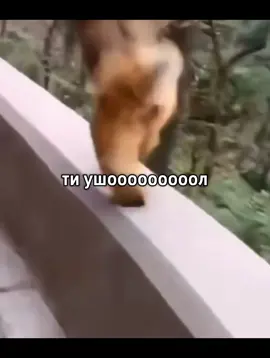 ДОЛГО НЕ БЫЛ😭 ,ВОЗВРАЩАЕМ АКТИВ?