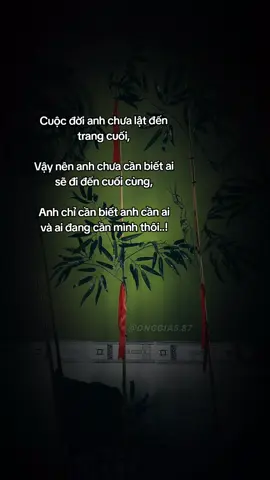 #CapCut #onggia6_87  #foryoupage  #suhuongtiktok  #trendingtiktok        