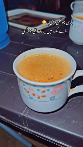 Chaye lover☕️#پنجابی_کلچر🌾🍂 #panjabiculturephotography #tanveerhunjra1 #chaye #tealover 
