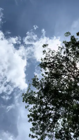#blue #sky #langitaesthetic #awan #fyp 