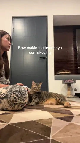 Karena cuma dia yang gapunya kesibukan😌 #quarterlifecrisis #catsoftiktok #catlover #kucinglucu 