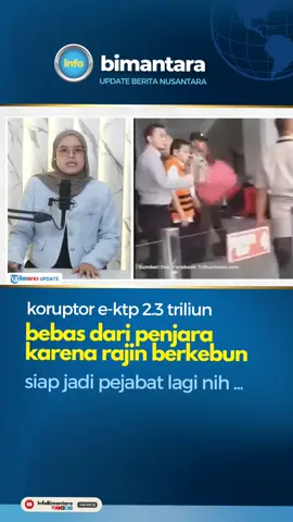 rajin berkebun , jadi salah satu alasan dibebaskannya #koruptor #ektp #setyabudi si #papamintasaham #korupsi 