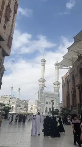Take me back to Saudi Arabia, please! 🥺 Ya Allah, make it easy. 🤲🏻 #SaudiArabia #MakkahMadinah #MissingHome #YaAllah #Inshallah   