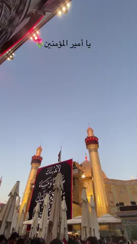 #اشهد_ان_علي_ولي_الله_🦅313🦅 