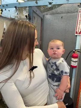In honor of the last day of the #OCfair - here’s us last year enjoying the butterflies 🦋    #baby #butterfly #viral #fyppppppppppppppppppppppp  Btw this video went viral on rednote 😆