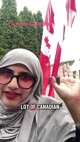 Anyone else notice this increase in nationalism? #canada#canadian#canadiantiktok#tariffs#proudlycanadian 