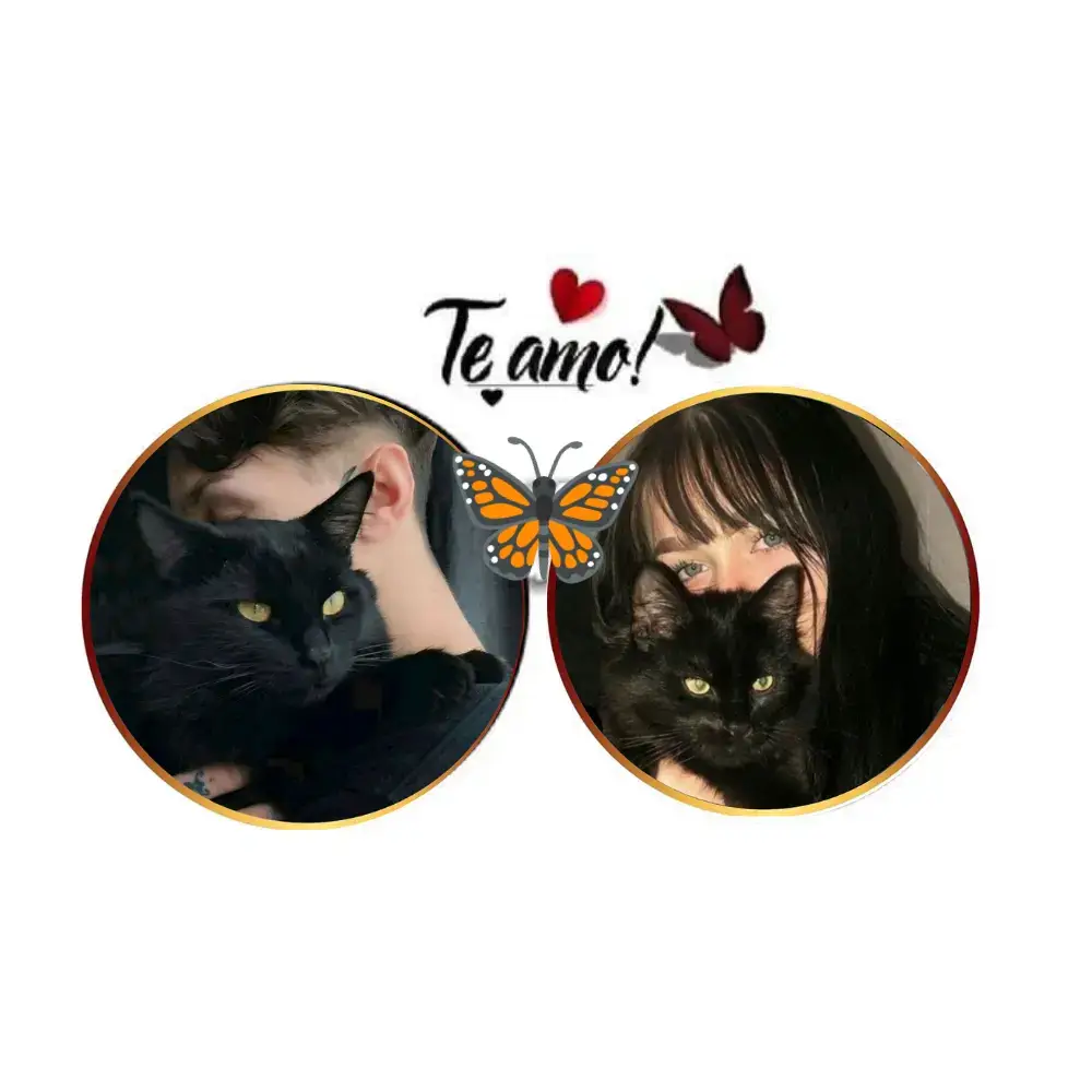 Part :156 Black Dp'z🖤 #astheticdpz  #foryou #Blackcouple #trending #fypシ゚viral  @TikTok @TikTok Bangladesh @Foryou House 