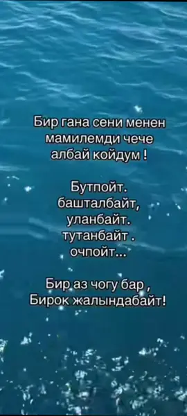 #рек #суйуу 