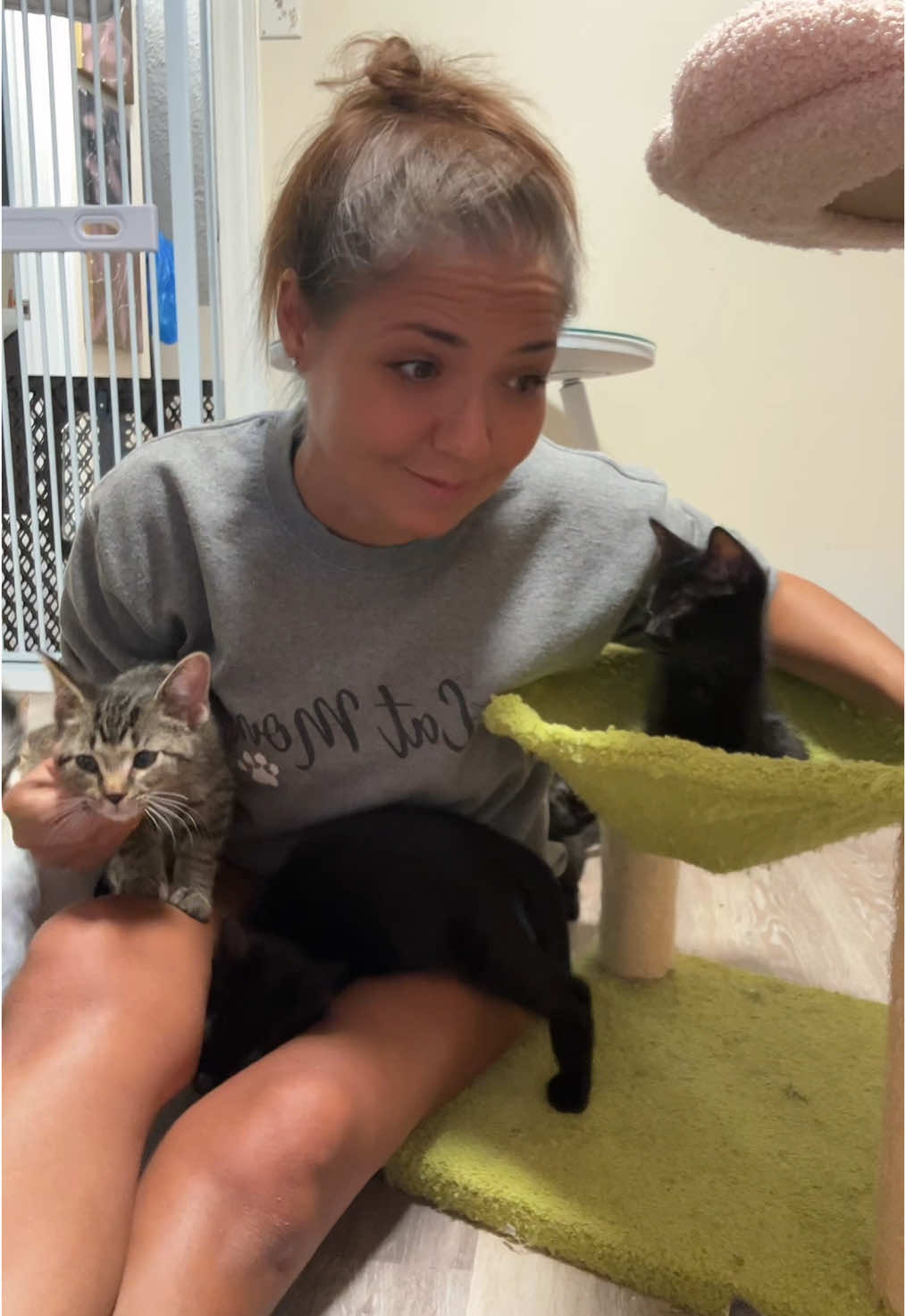 28 cats, 111 paws, 499 toe beans, 133 can of wet food weekly and 15 litter boxes. I don’t go to the gym, I scoop poop. Those are the stats! Donate if you can, share if you care! #cats 