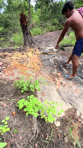 ពិតជាគួរអោយខ្លាចណាស់ 🥹