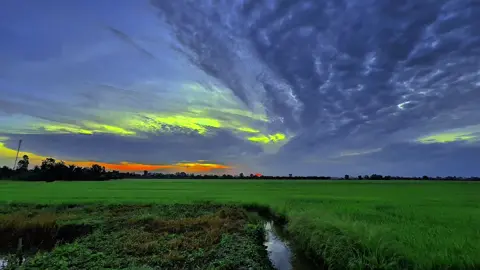Mùa Mưa Lại Đến Tôi Mừng Vui Đoán Tin Em #muamua #chill #mientay #canhdepthiennhien #xuhuong 