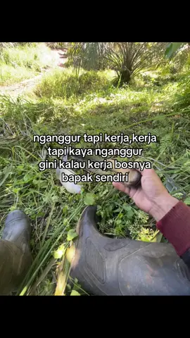 kerja bakti #fyp #petanimuda #petaniindonesia🇮🇩🇮🇩🇮🇩🌿🌿 #pewarismuda #fypシ 