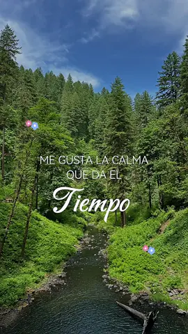 #CapCutMotivacional 