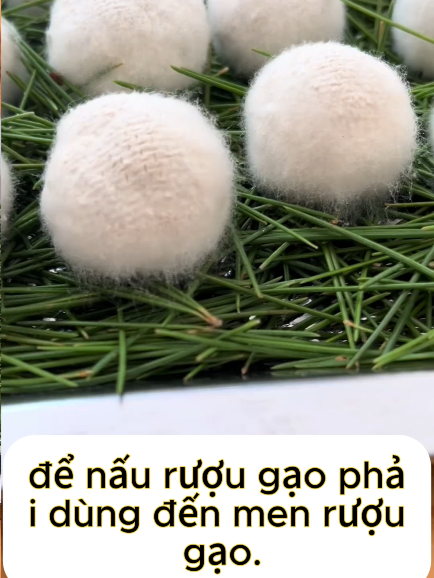 Cách Làm men rượu đơn giản #rượu #nấuăn #xuhuong