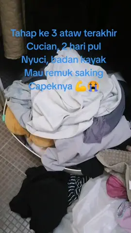 Alhamdulillah cucian yg ke 3 ataw yg terakhir, sehat2 ya badan jangan mengeluh💪