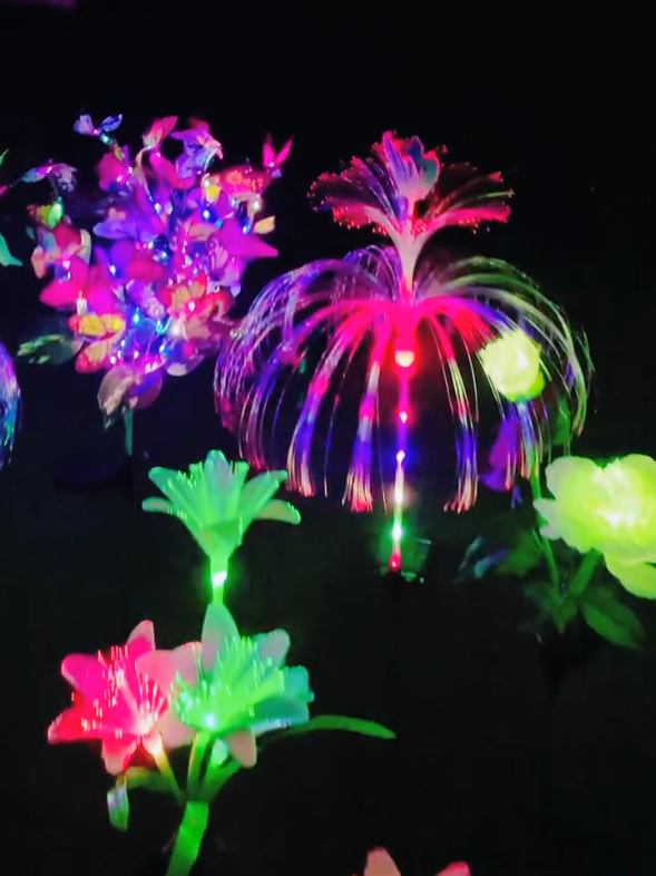 led năng lượng mặt trời ##trangtritet #ngoclien69camau 