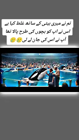 #jessic #creatorsearchinsightsviews #dolphen #fishattack #ripjessica 