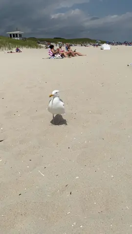 #beach 