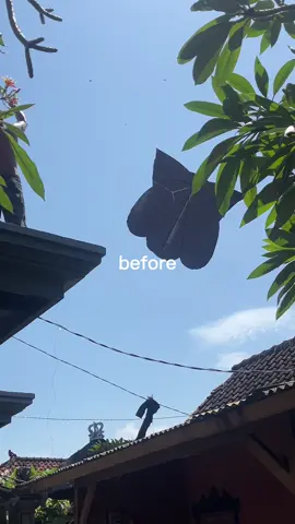 Ganti rugi lah dia janii 🤣🤣🤣