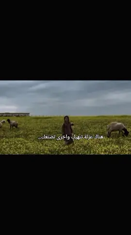 #مالي_خلق_احط_هاشتاقات 