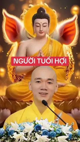 #tuoihoi #fyd #phongthuytailoc #viral #xuhuongtiktok 