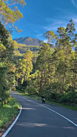 masi ragu mau ke lawu? #fypシ゚ #lawumountain #magetan24jam 