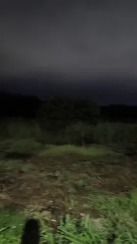 No sé que será eso, pero no lo quiero averiguar tampoco 😅No quiero salir en un vídeo de dross... #fyp #paratiiiiiiiiiiiiiiiiiiiiiiiiiiiiiii #terror #creepy #noche 