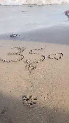 Bienvenido 36 ❤️ #paratiiiiiiiiiiiiiiiiiiiiiiiiiiiiiii #fyp #playa 