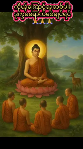 #ပါချုပ်ဆရာတော်ဘုရားကြီး၏အဆုံးအမ #တရားတော်များ #ဗုဒ္ဓဘာသာ #🙏🙏🙏 