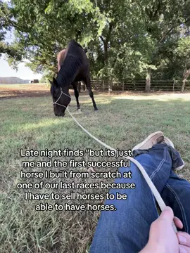 Can't wait to create a partner as good as this guy again.  #horse #horses #barrelrace #rodeo 