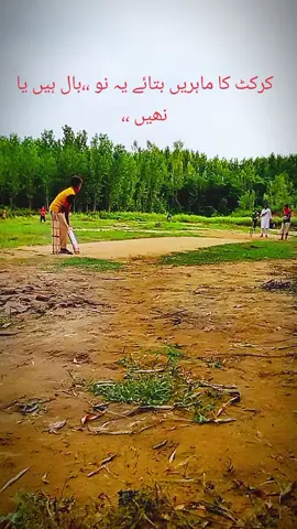 NO bal hai ya nahi🤨 #repost ###cricket # foryou plezzzzzzzz viral vadio foryou page unfrezmy account